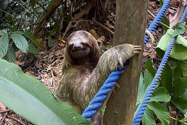 ナウヤカの滝アドベンチャー - オールインクルシブ1日ツアー