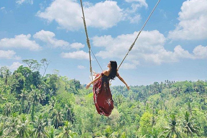 Cascate di Ubud, Tempio dell'Acqua e Terrazza di Riso - Tour Privato