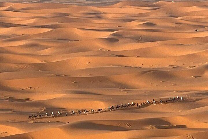 Merzouga Desert – Camel Ride & Overnight in the Camp