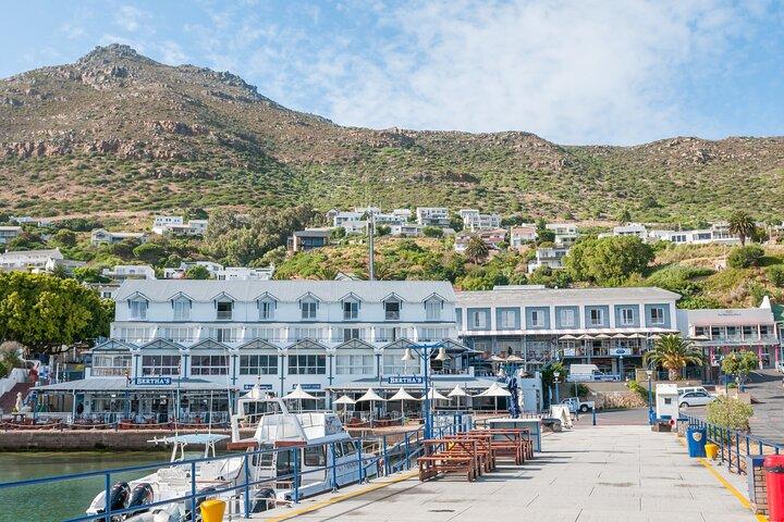 Shared Half Day Tour in Cape Peninsula with African Penguins