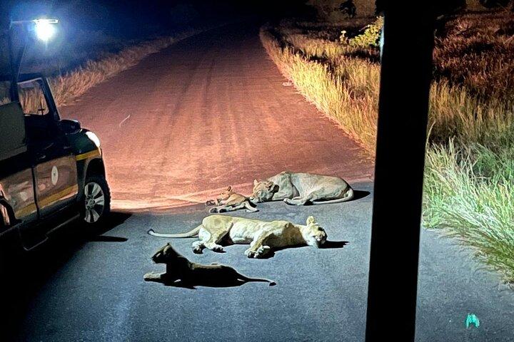 Private 3 - Day Kruger Park Safari de Maputo