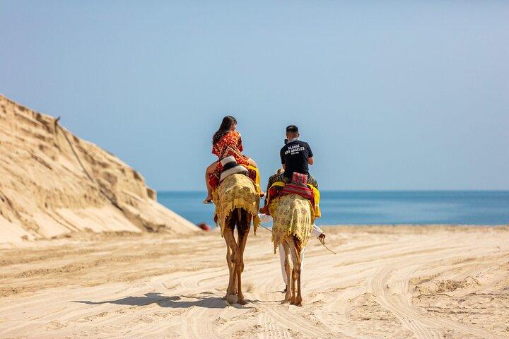Dagpas voor Al Majles Resort