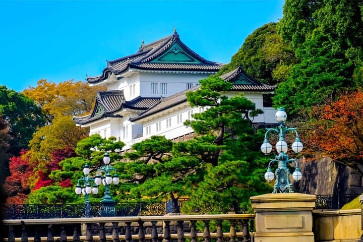 Tokyo City Private Tour up to 6 Persons