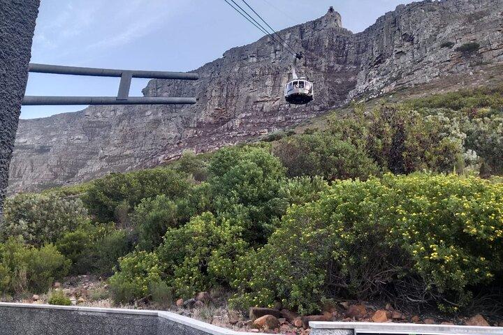 Table Mountain Cable Car med Kirstenbosch Garden Dagstur