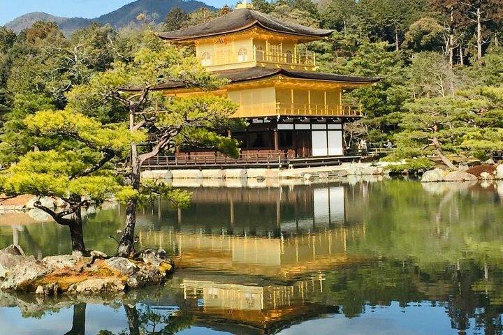 TOUR KYOTO y NARA con ENTRADA GRATUITA(SOLO CONDUCTOR)