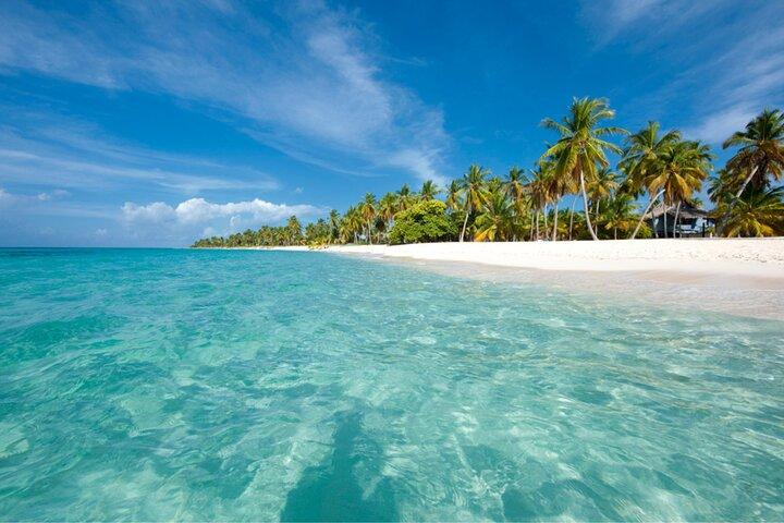 Excursión de día completo a la Isla Saona desde Punta Cana Todo Incluido