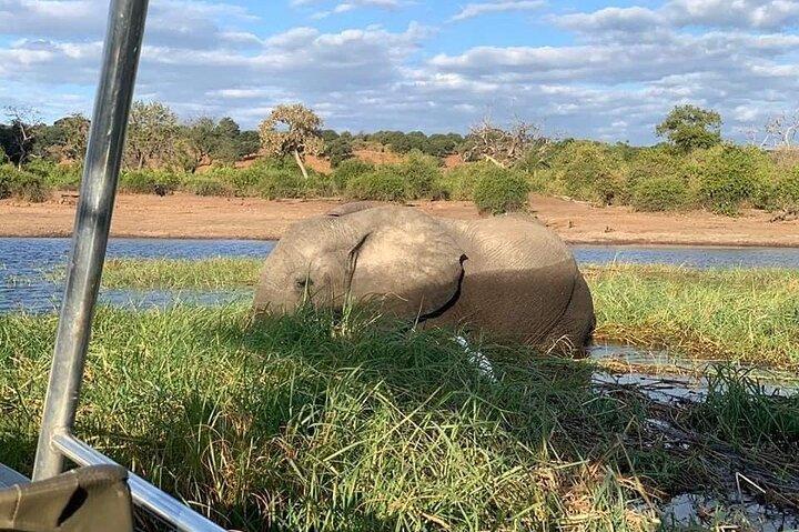 Tour de día completo al Parque Nacional Chobe y Botswana