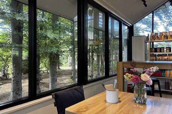 Private Blue Mountains Day Tour (avoid the crowds)