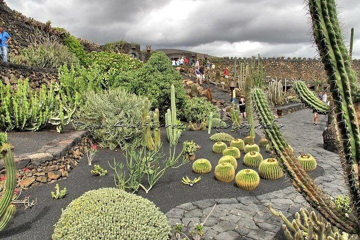 Tour de Las Palmas: Vegueta, Jardim Botânico e Cratero Bandama