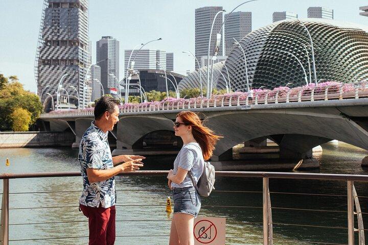 Singapore PRIVATE TOUR: Highlights & Hidden Gems by CAR or Foot