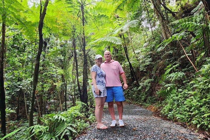 Tour privado por el Angelito de San Juan y El Yunques 5HR