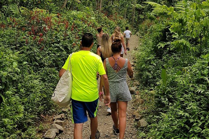 Tour privado por el Angelito de San Juan y El Yunques 5HR