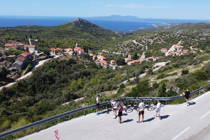 Lavender Fields & Villages: Privat E-cykeltur med swim stop