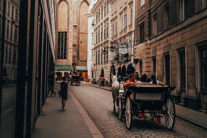 Exclusive Private Vienna Walking Tour (2.5 Hours) – Local Guide