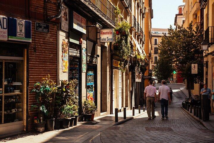 Madrid Highlights and Hidden Gems Private Tour with a Guide