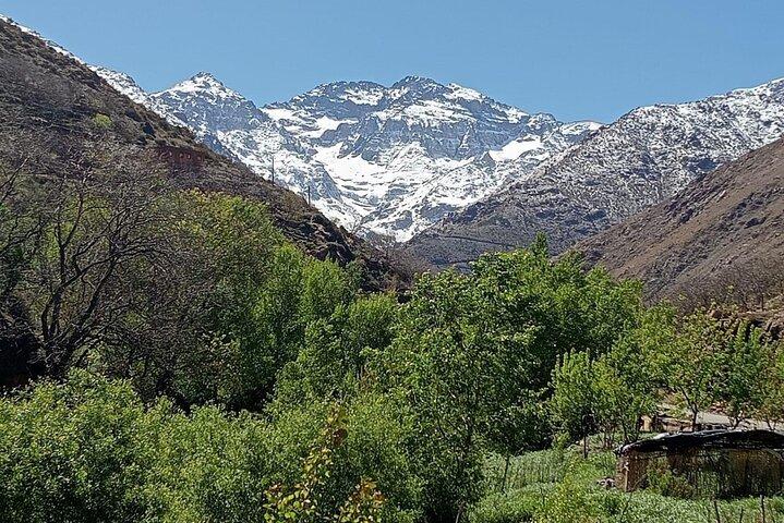 Atlas Mountains Ourika Valley vandfald Dagstur fra Marrakech