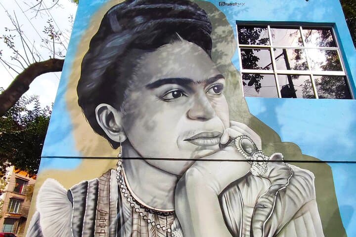 Frida Kahlo Museum : all the different options with an expert