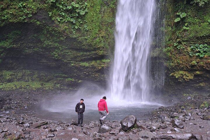 Excursion privée d'une journée : Llanquihue Lake & Waterfalls Experience