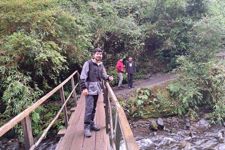 Excursion privée d'une journée : Llanquihue Lake & Waterfalls Experience