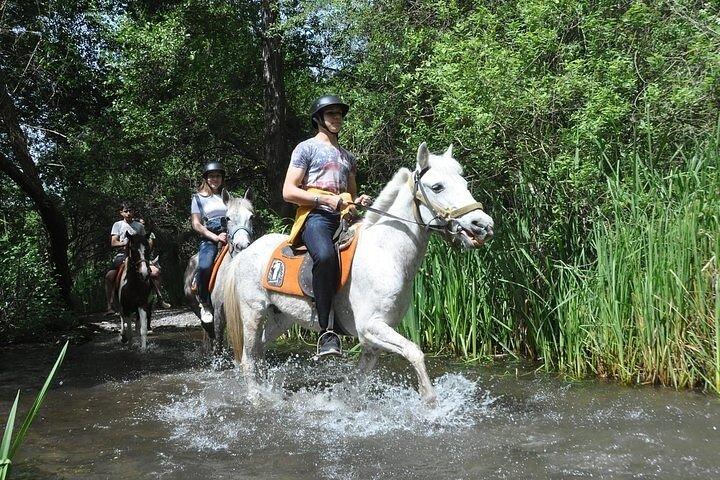 Fethiye Horse Riding Experience