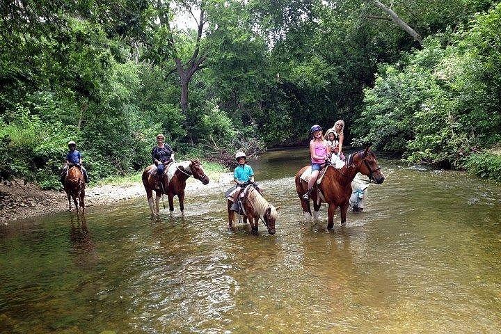 Fethiye Horse Riding Experience