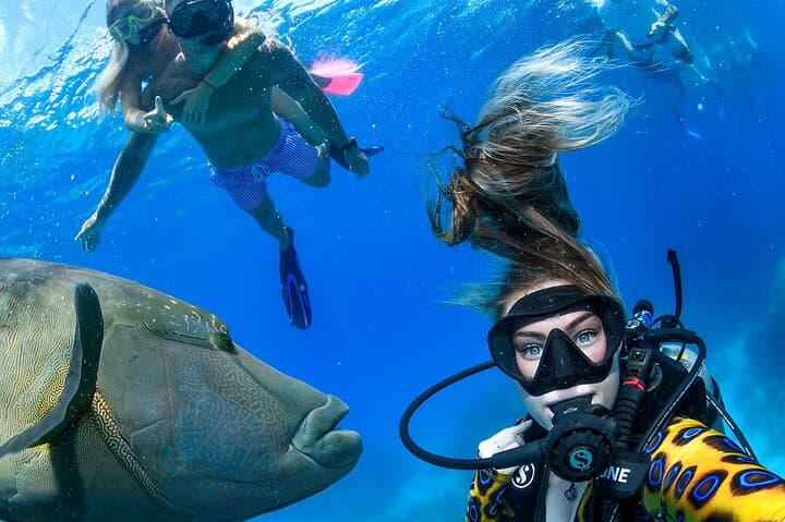 Full Day Reef Cruise and 10 Minute Helicopter Scenic Flight