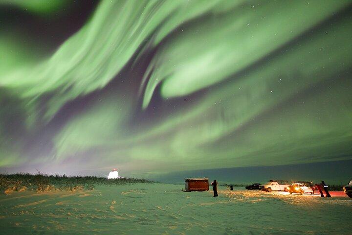 Tour condiviso di 1 giorno al Circolo Polare Artico e osservazione dell'aurora boreale in Alaska