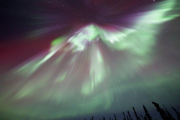 1-tägige gemeinsame Tour zum Polarkreis und zur Polarlichtbeobachtung in Alaska