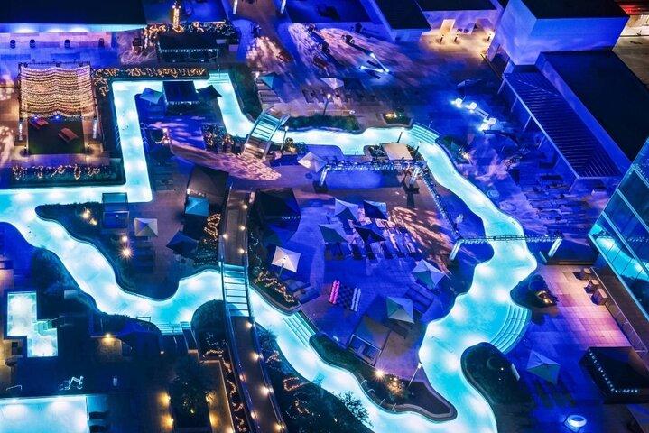 テキサス州ヒューストンへの日帰り旅行（ランチ付き）