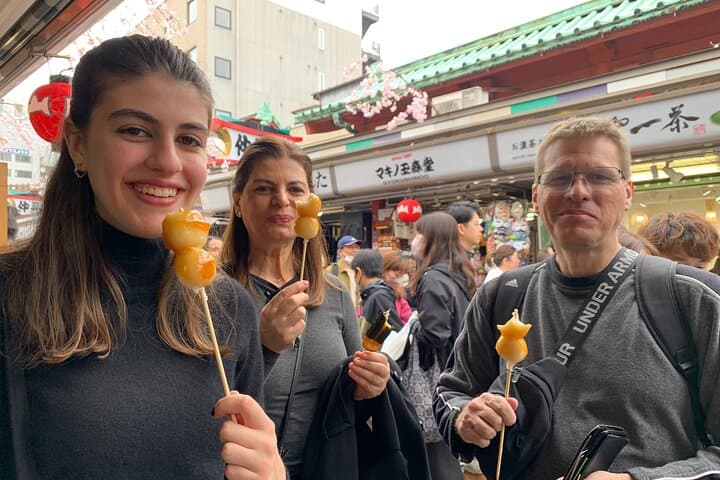Tokyo 7hr Tour Licensed Guide & Vehicle: NRT Airport Drop Off