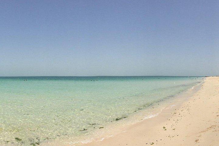 Jebel Ali Open Beach Private Transfers