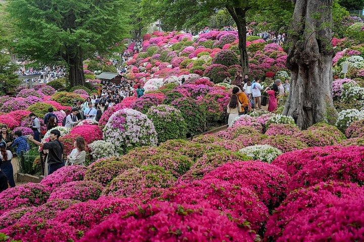 Bedste Tokyo med en national licenseret guide