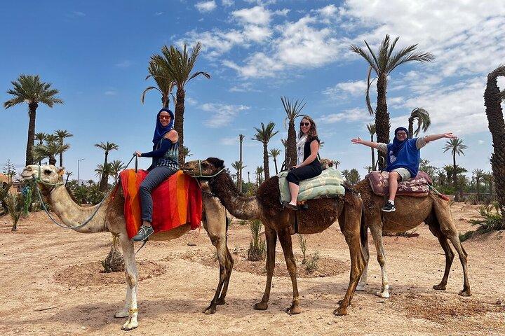 Marrakech from Casablanca with Horse Carriage and Camel ride
