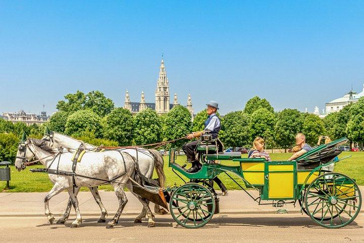 ウィーン : 市内の見どころを巡るガイド付きウォーキングツアー-小グループ