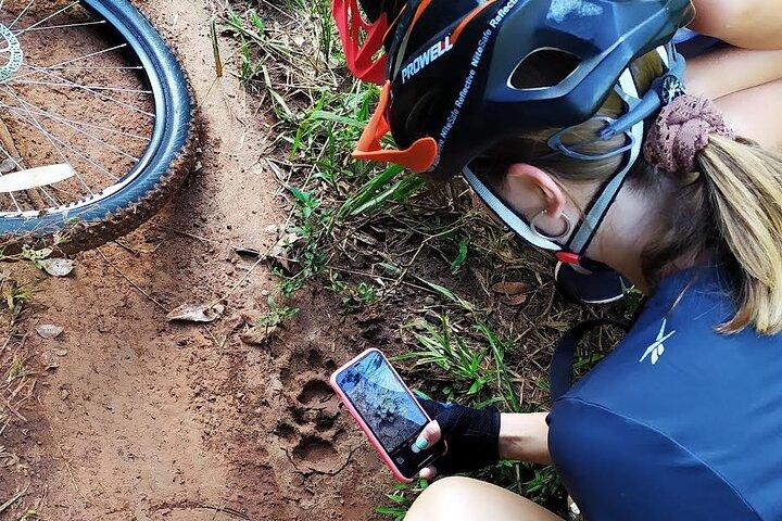 Jungle Wildlife Bike Tour till Iguazu National Park & Jaguar Road