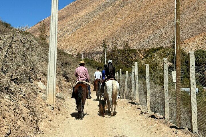 エルキ渓谷、コチグアスでの乗馬、自然とワイン