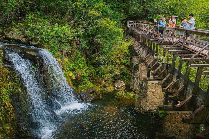 Big Island: Kohala Waterfalls Small Group Adventure