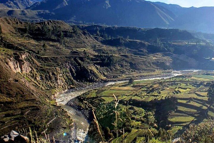 Arequipa: Colca Canyon fuld dag - slutter i Puno