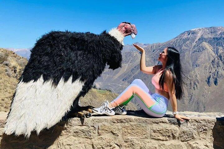 Arequipa: Colca Canyon fuld dag - slutter i Puno