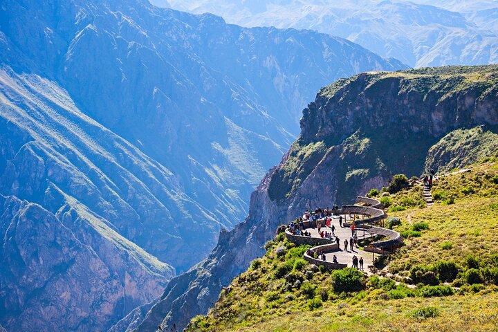Arequipa: Colca Canyon fuld dag - slutter i Puno
