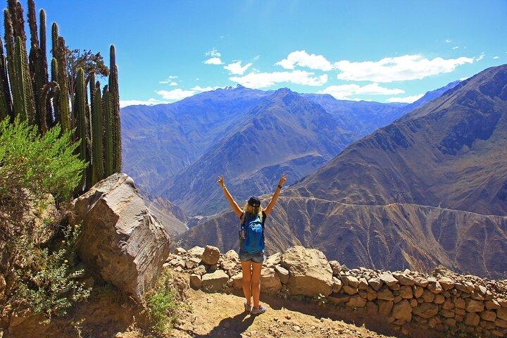 Arequipa : Colca Canyon 2 dagar & 1 natt - äventyr