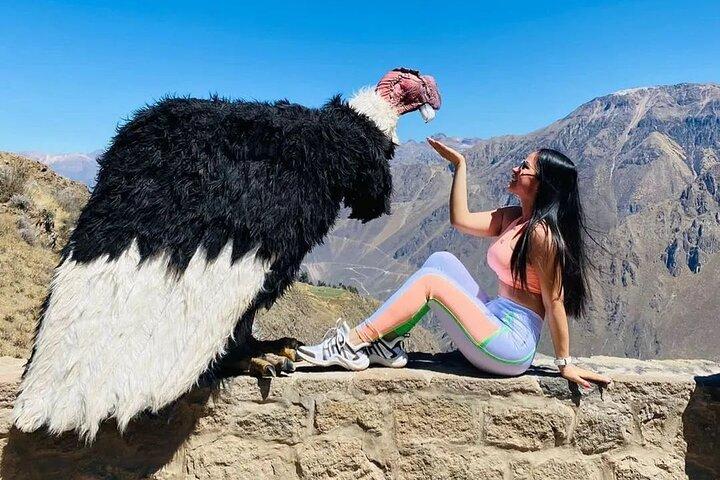 Restauranter i nærheden af Colca Canyon 2 Days & 1 Night