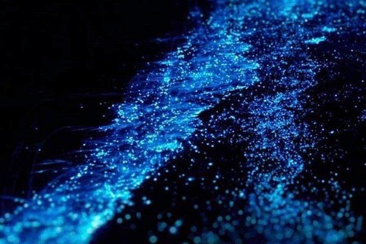 Bioluminescence Tour in Punta Cocos Holbox