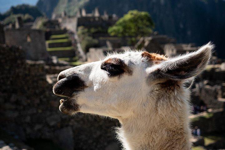 Cusco: Machu Picchu 2D/1N - Transportes e Bilhetes Incluídos