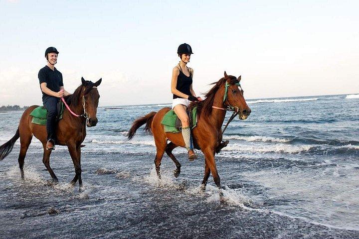 サバビーチで乗馬