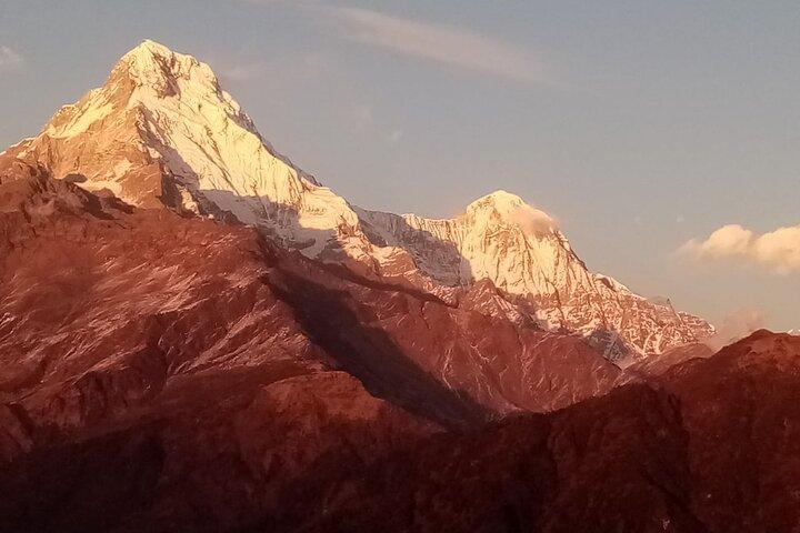 Mehrtägige Tour ab Pokhara, Poon Hill und Mulde Trek
