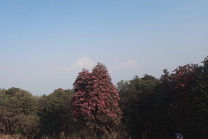 Private 4 Day Poon Hill Trek from Pokhara