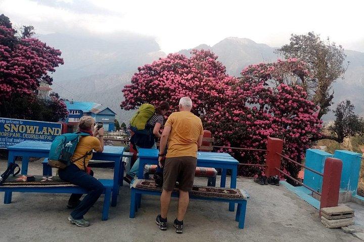 Private 4 Day Poon Hill Trek from Pokhara