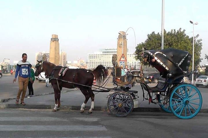 Cairo by night and free walking & eating tours in Cairo