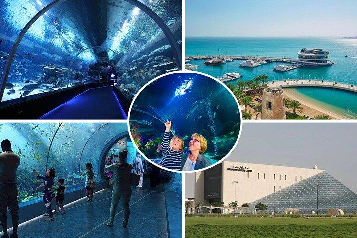 Tour privado por el puerto de Hamad en Mesaieed |Acuario |Museo Marítimo